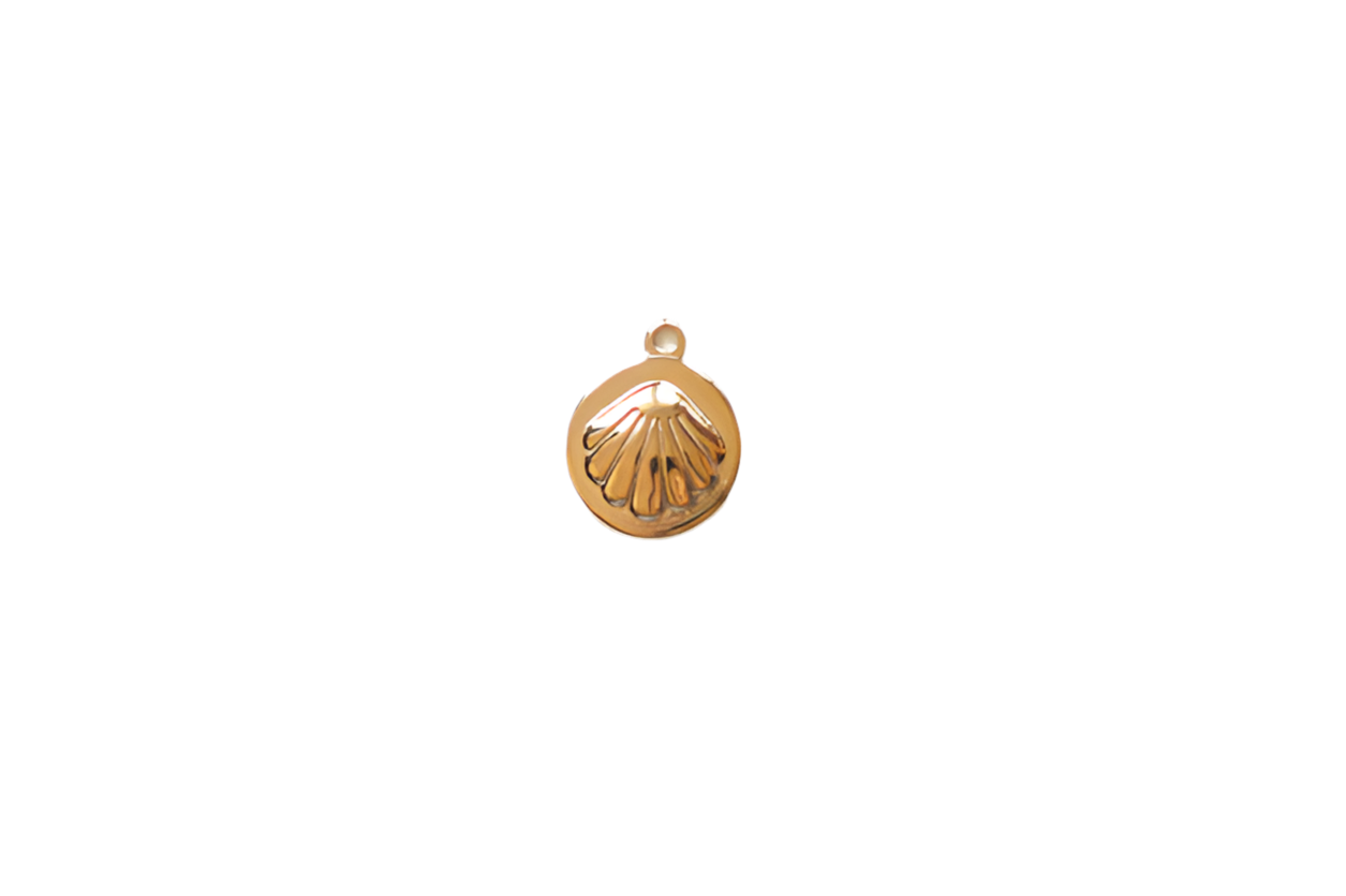 Sea shell