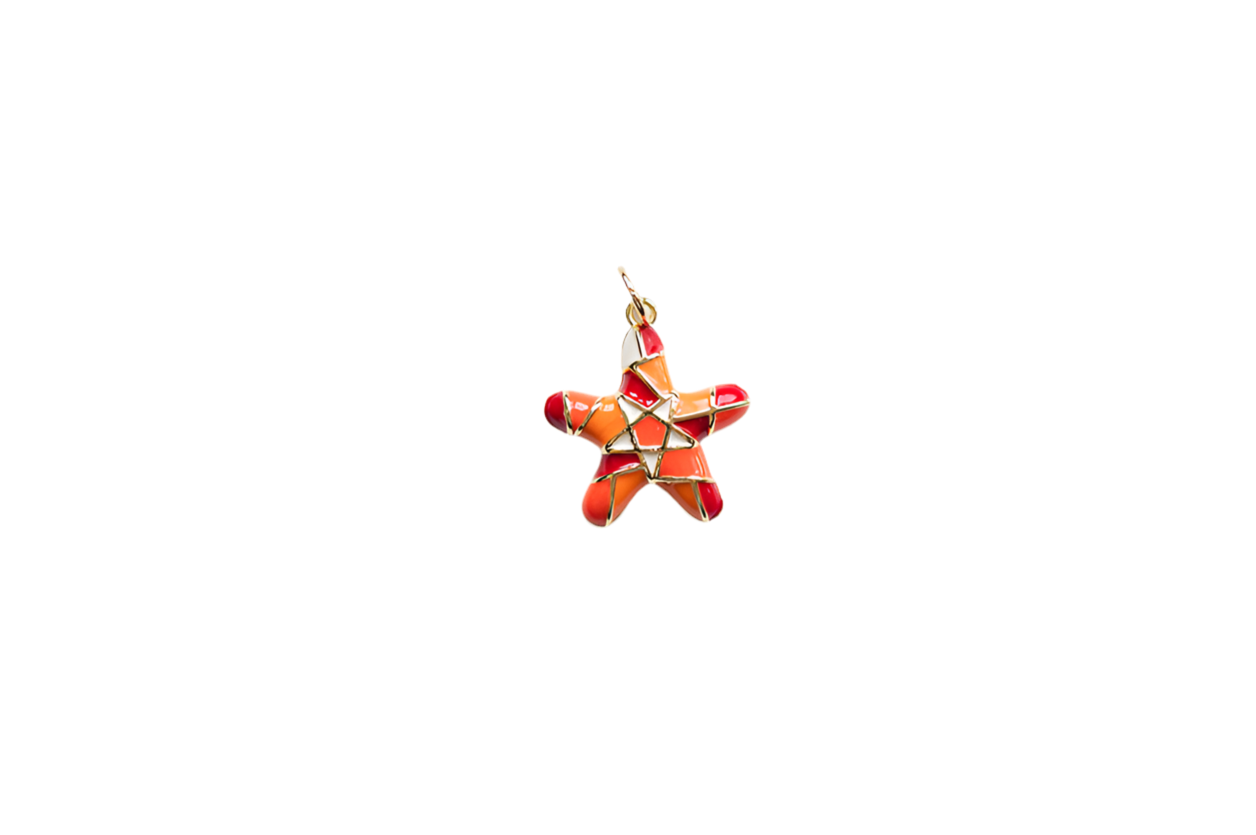 Orange starfish