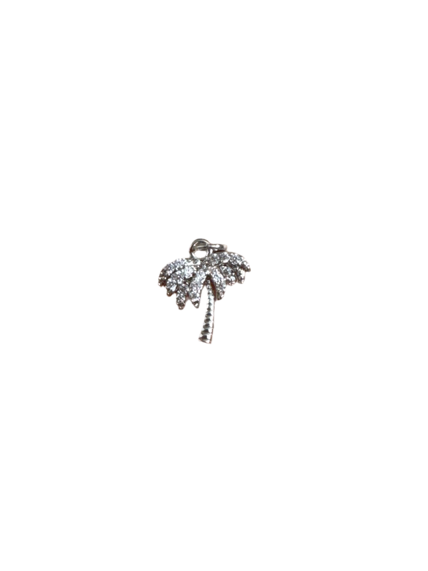Silver palm tree