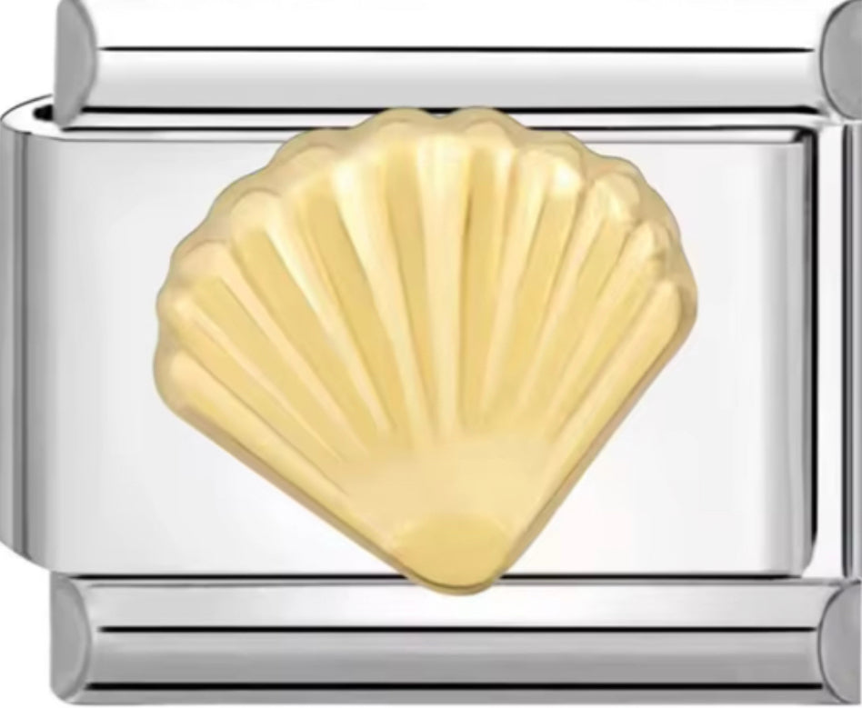 Sea Shell