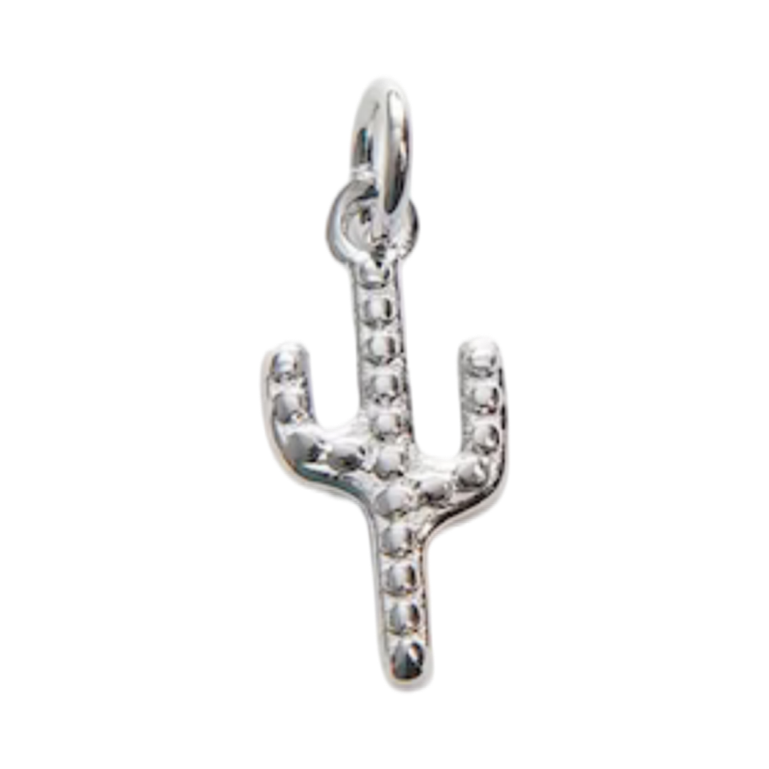 Silver cactus