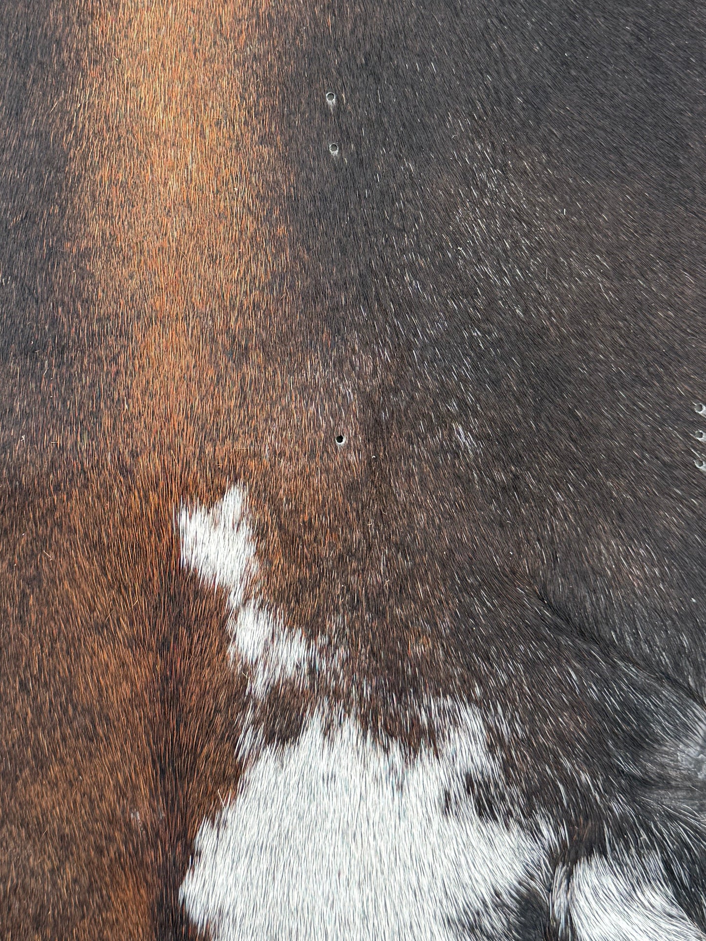Studio Seconds - A5 Cowhide Journal