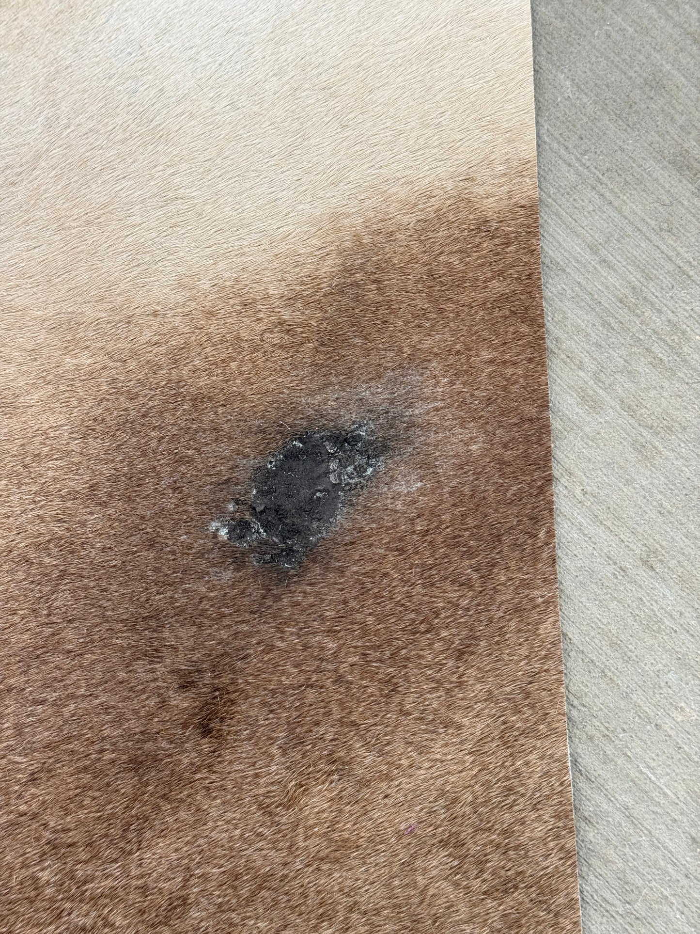 Studio Seconds - A5 Cowhide Journal