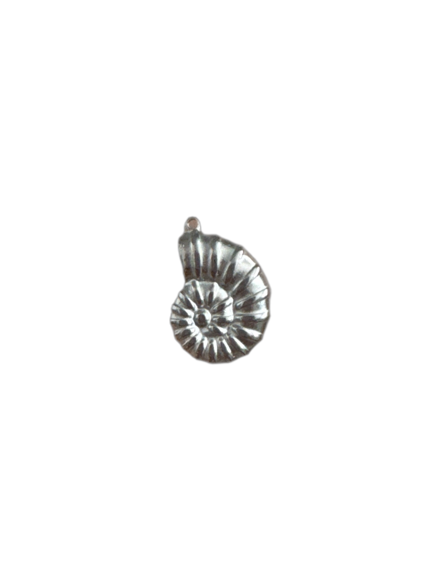 Silver whorl shell