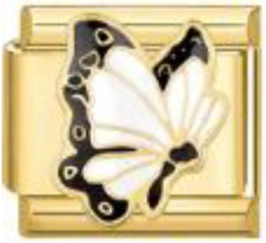 White butterfly