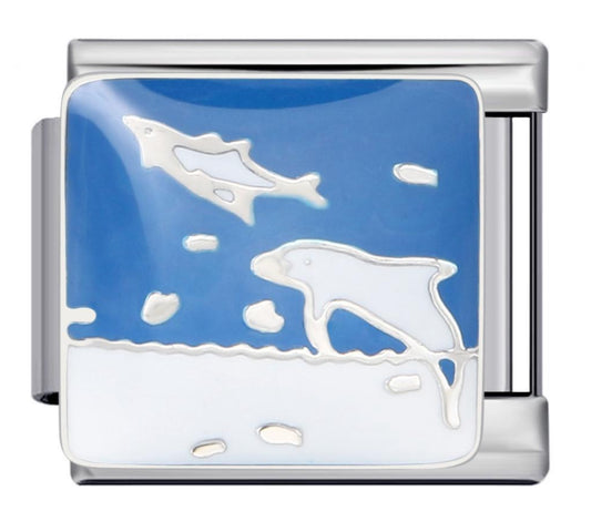 Dolphins