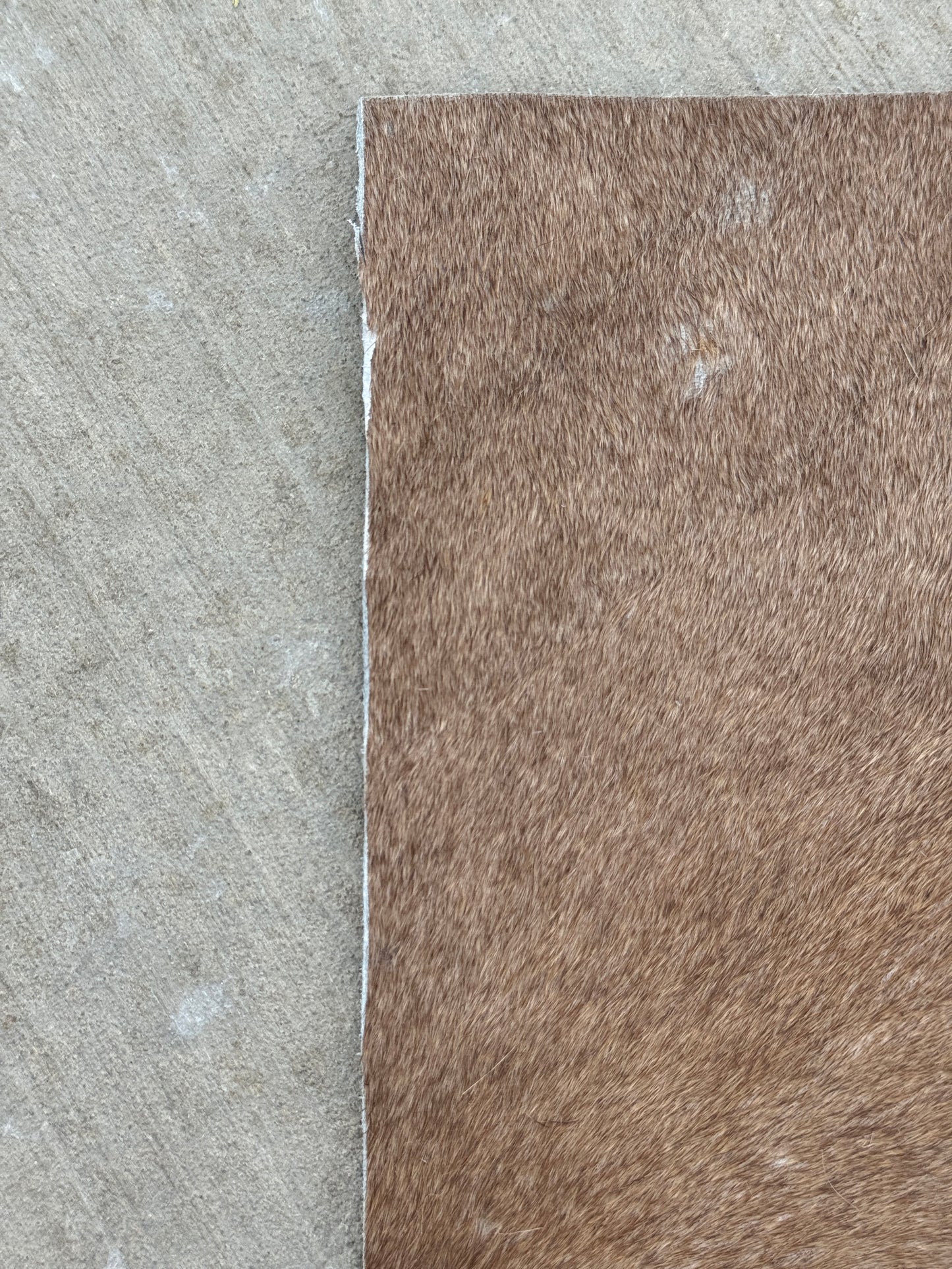 Studio Seconds - A5 Cowhide journal