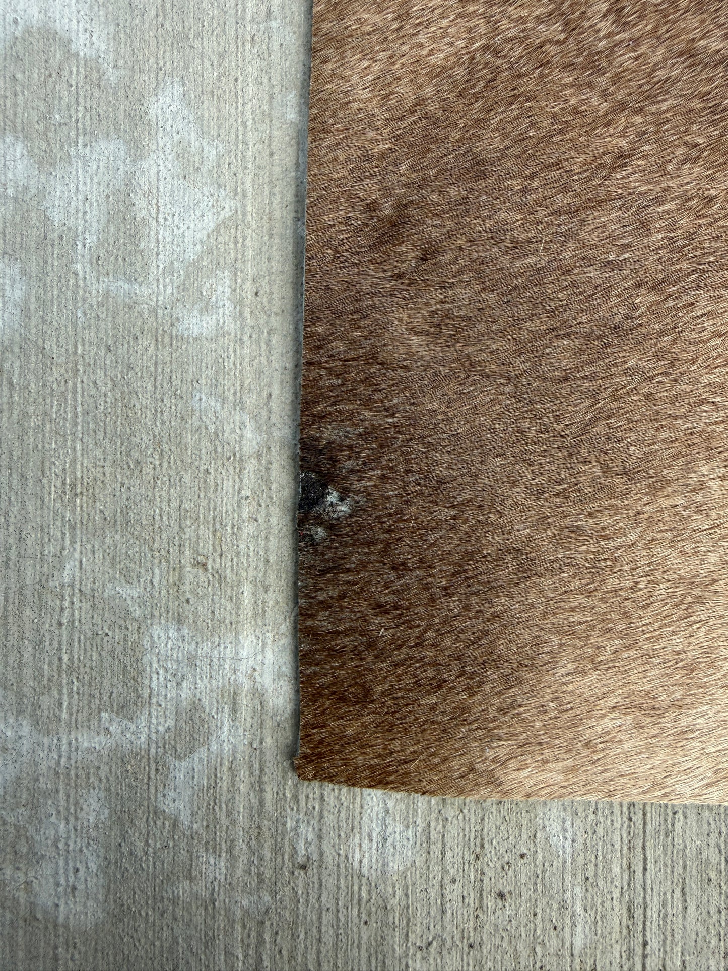 Studio Seconds - A6 beige cowhide