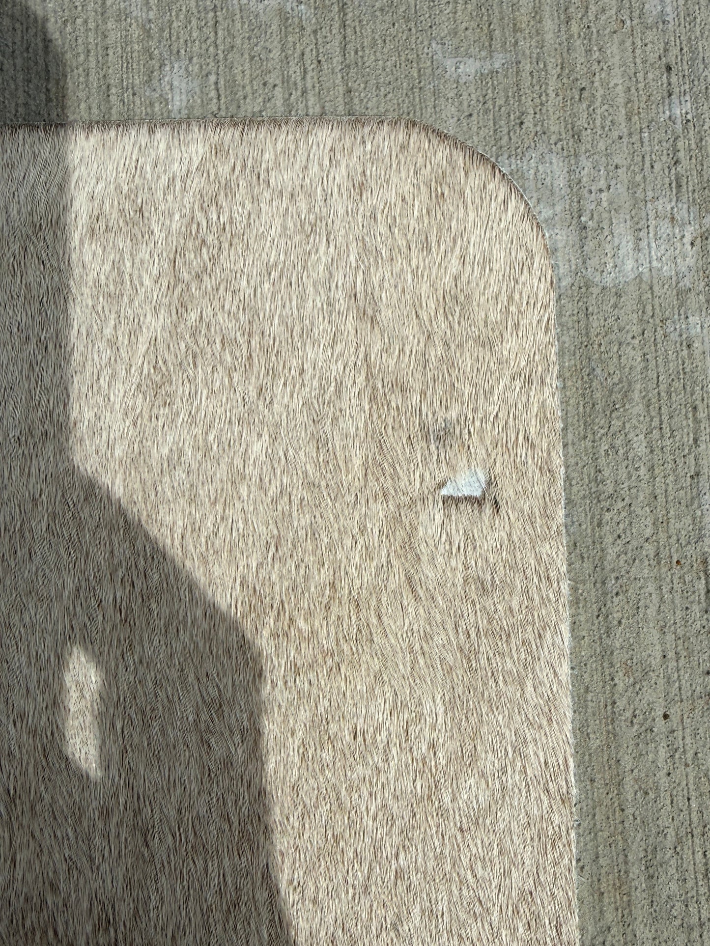 Studio Second - A6 beige cowhide