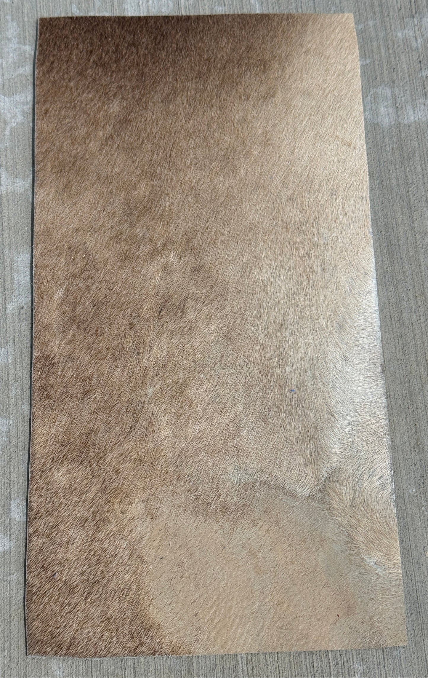 Studio Seconds - A6 beige cowhide