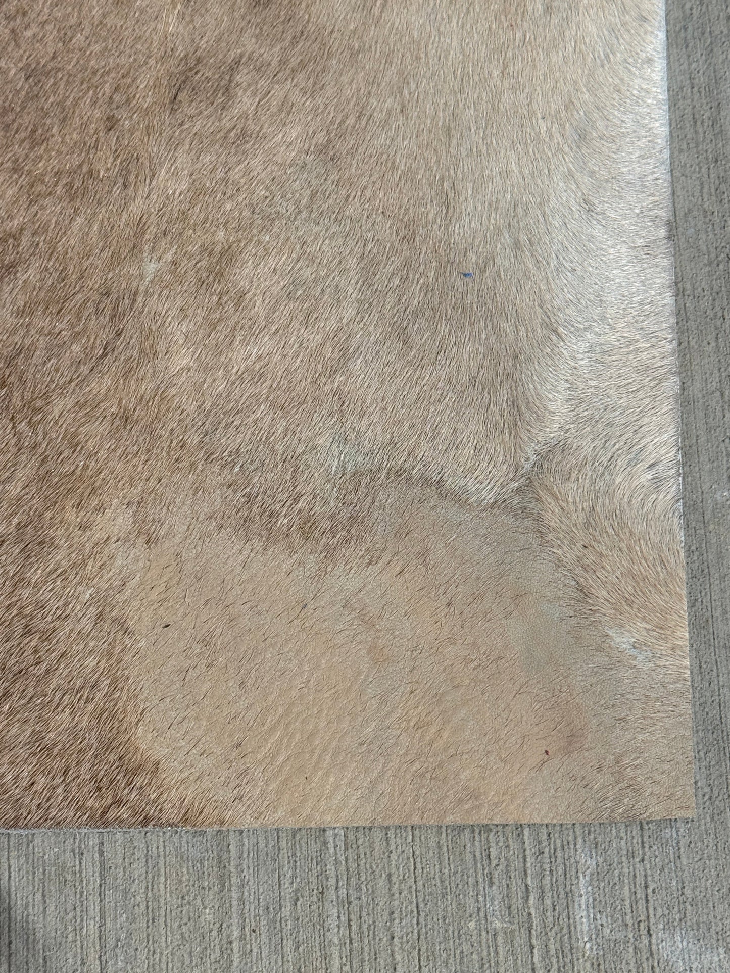 Studio Seconds - A6 beige cowhide